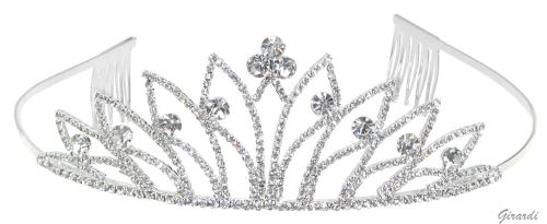 Rhinestone Crown