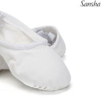 pro1c_wht1 (1)