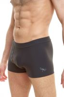 Mike_man_shorts_grey_3 (16)