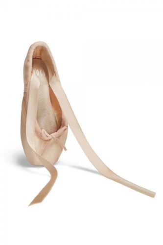 Decorative Pointe Shoe