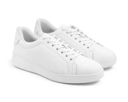 pdgr-wht.001
